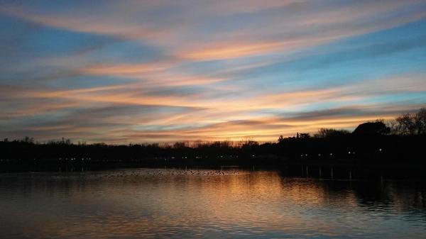 Lago de la Casa de Campo Madrid