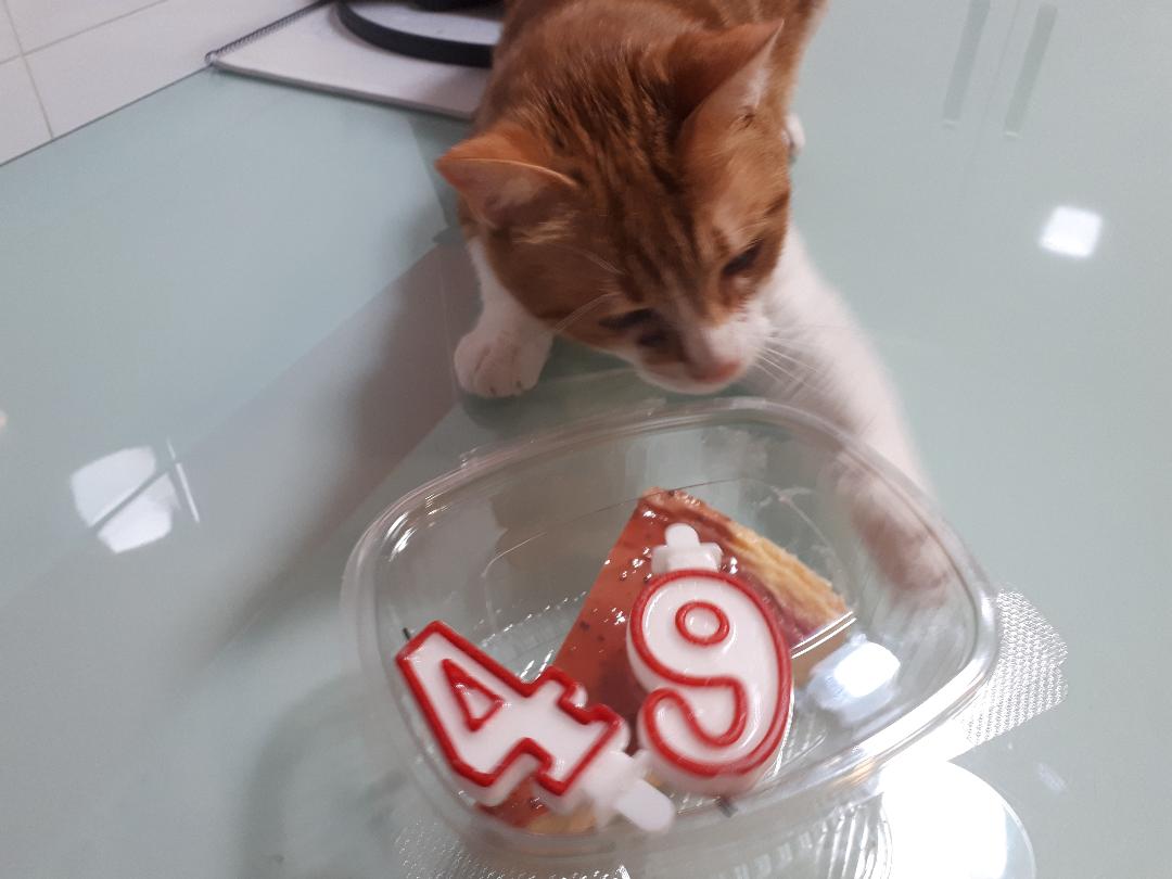 Fénix celebra mi cumpleaños