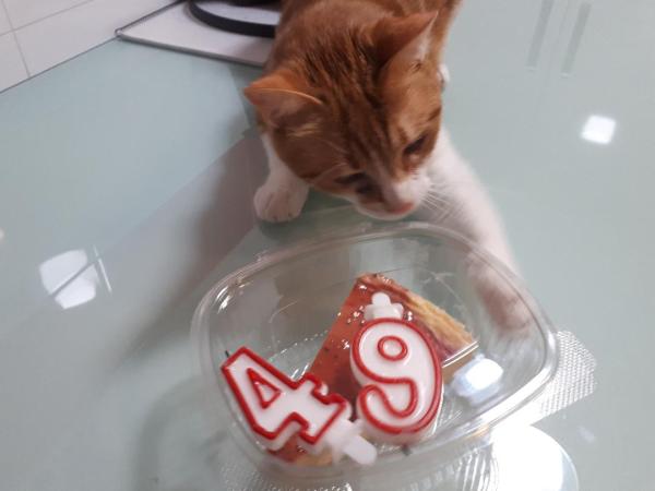 Fénix celebra mi cumpleaños